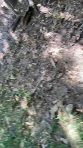 House Cleaning before and after in Durham, NC, by Mersaun (before)