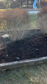 Mulching — Carter