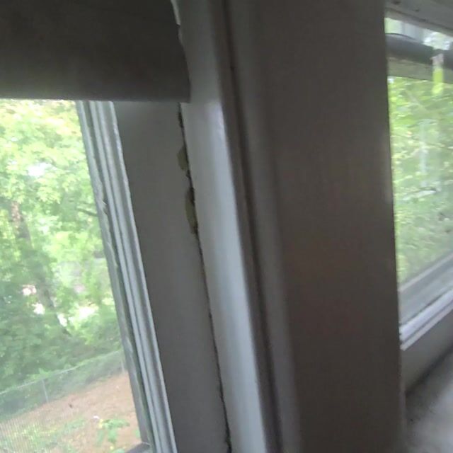 House Cleaning Work