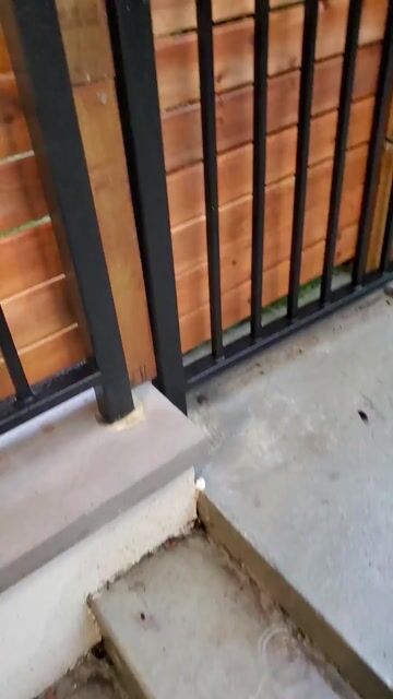 Fence Installation