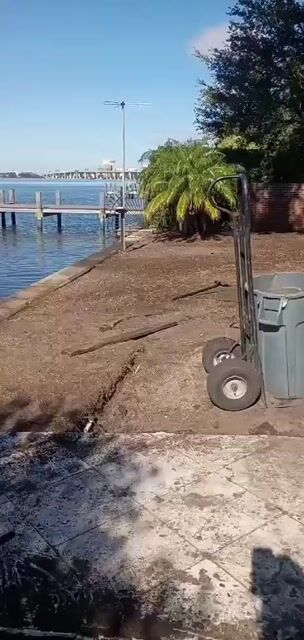 Sod Installation