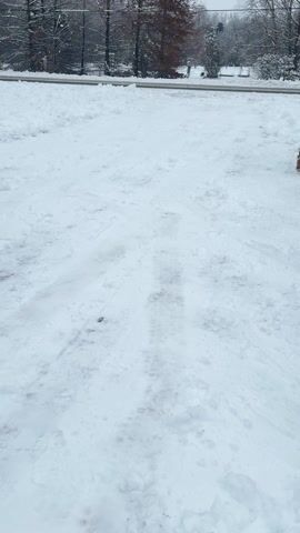 Snow Removal before and after, by Gigngo (after)