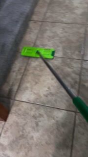 Deep Cleaning — Serena