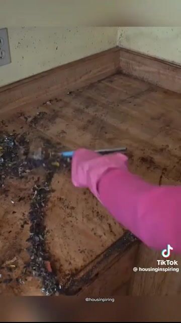 Cleaning a disaster, House Cleaning in Gainesville, FL, by Supaabfellow