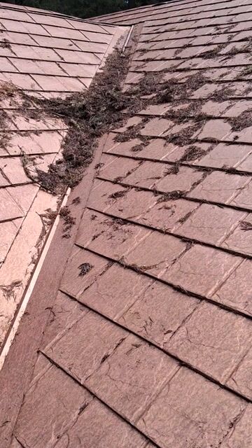 Gutter Cleaning
