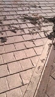 Gutter Cleaning — Lamar