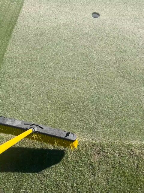 Yard Maintenance