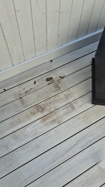 Power Washing