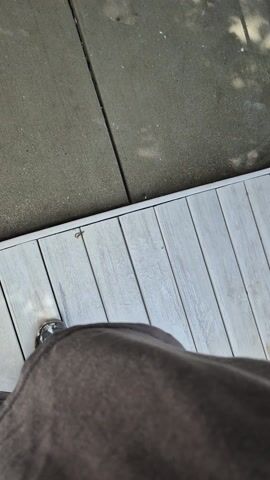 Pressure Washing before and after in Chicago, IL, by Sorin (after)