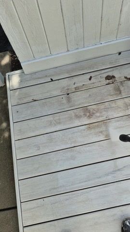 Pressure Washing before and after in Chicago, IL, by Sorin (before)