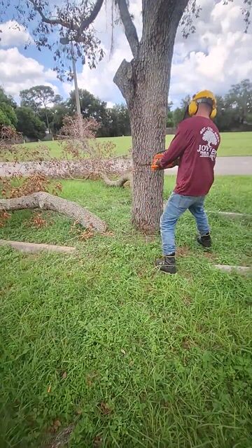 Church needed dead tree gone! Bye bye, Tree Removal in Apopka, FL, by John
