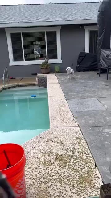 Plumbing Repair in Backyard., Plumbing, by Francesco