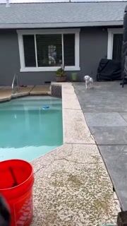 Plumbing Repair in Backyard. — Francesco